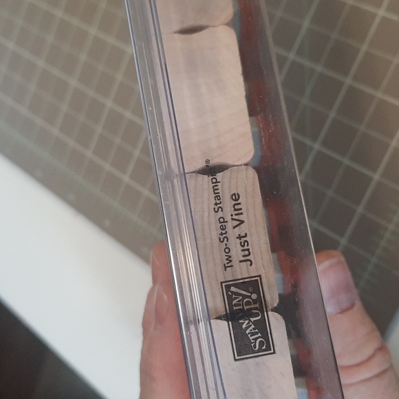 Just Vine rubber Stampin Up set - Picture 3 of 4